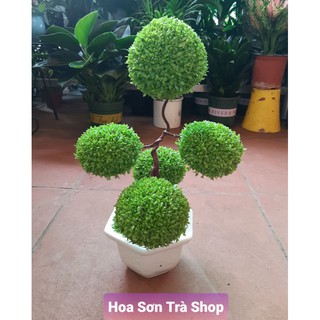 (Q.8 - GIAO 1-3H) CÂY MAY MẮN hình tim, con vật.