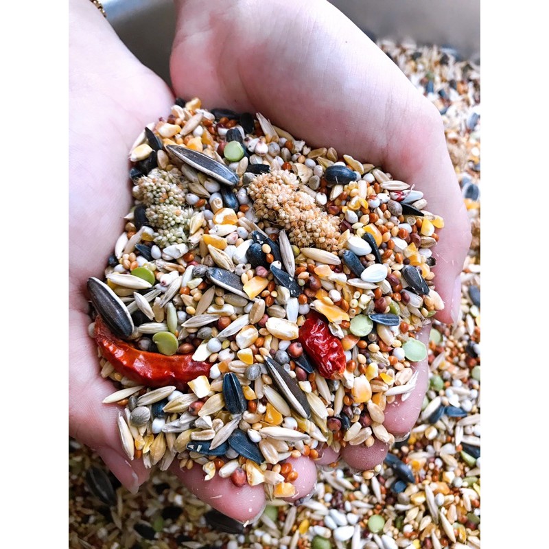 Hạt trộn cho vẹt giá rẻ chất lượng 500g/1Kg