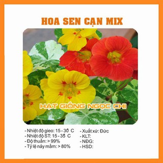Hạt giống hoa sen cạn - 15 hạt