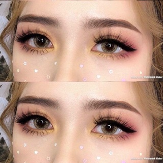 Lens Pony brown | giãn tròng - mini
