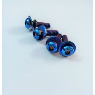 ốc gắn mão winner X ( 4 con )