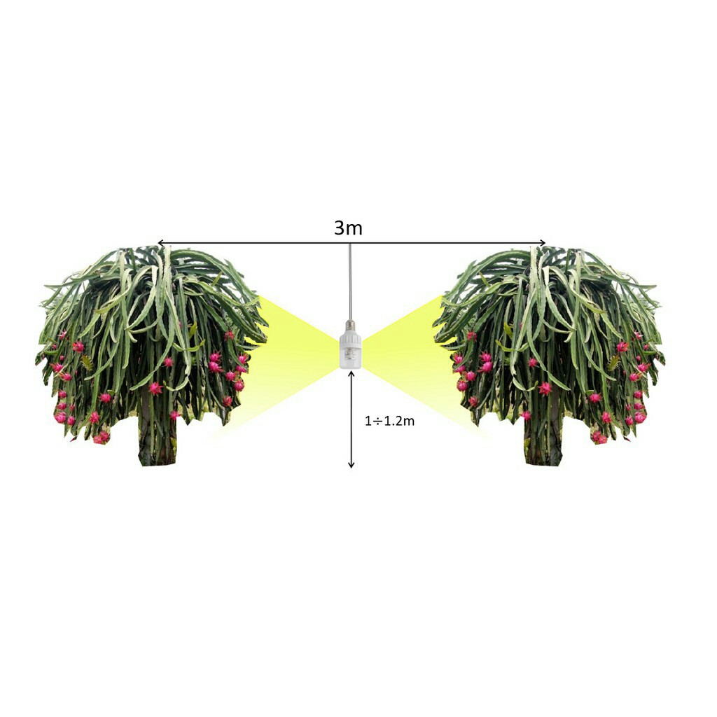 Bóng đèn xông thanh long 9w Rạng đông
