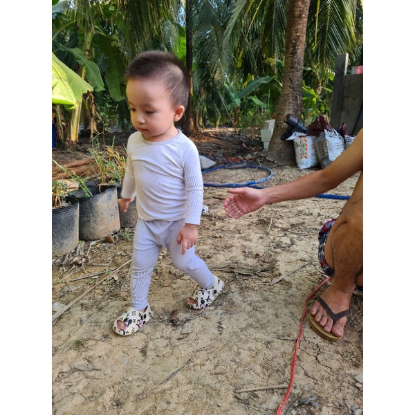 Máy làm bánh mì Petrus 9600VN