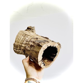 LŨA GỖ SĂN ĐÁ ỐNG BIOTOP RỖNG (1 KG ) - CHUYÊN DỤNG SETUP HỒ THỦY SINH - CÁ TÉP LÀM HANG CƯ NGỤ ỔN ĐỊNH PH