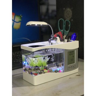 Bể cá mini để bàn cực xinh