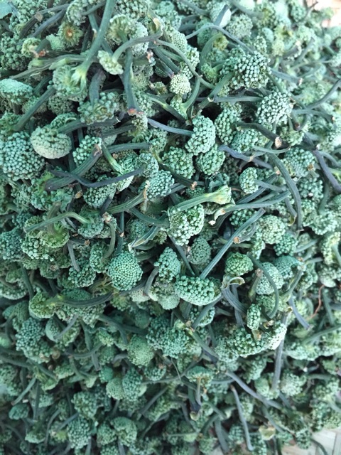 (FREESHIP) 500g nụ hoa tam thất bao tử loại hảo hạng | BigBuy360 - bigbuy360.vn