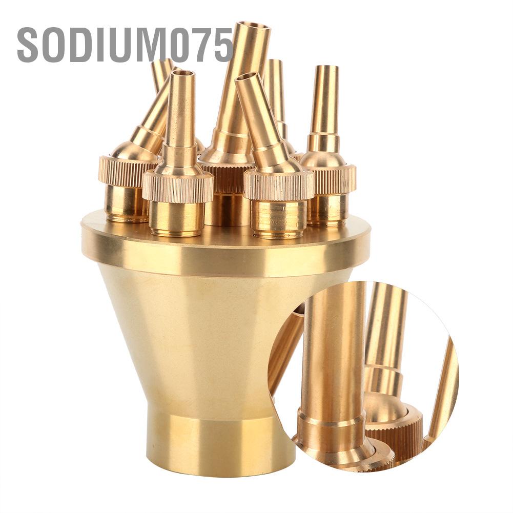 Có thể bán buôn Đầu phun nước hoa có thể điều chỉnh Nhiều vòi phun nước (DN25 / DN40 / DN50) Sodium075 Hàng giao ngay