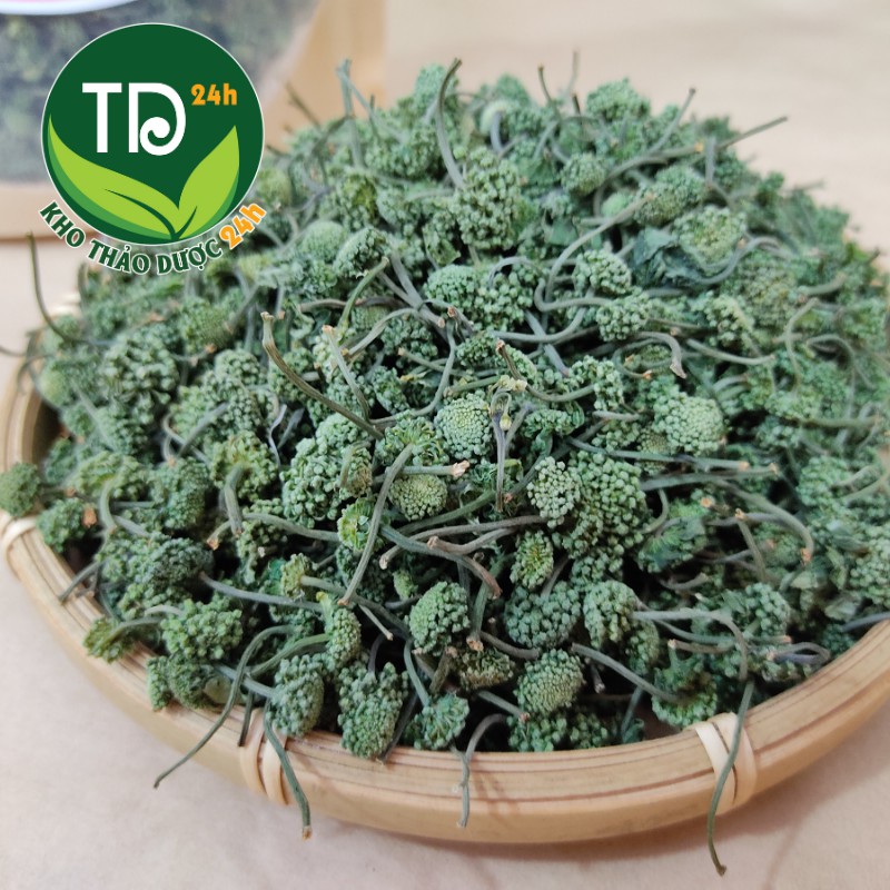 [Hàng Cao Cấp] Nụ tam thất bao tử SaPa, ngủ ngon, giải độc, mát gan, bảo vệ tim mạch [50gr - 250 gr] I Kho Thảo Dược 24h