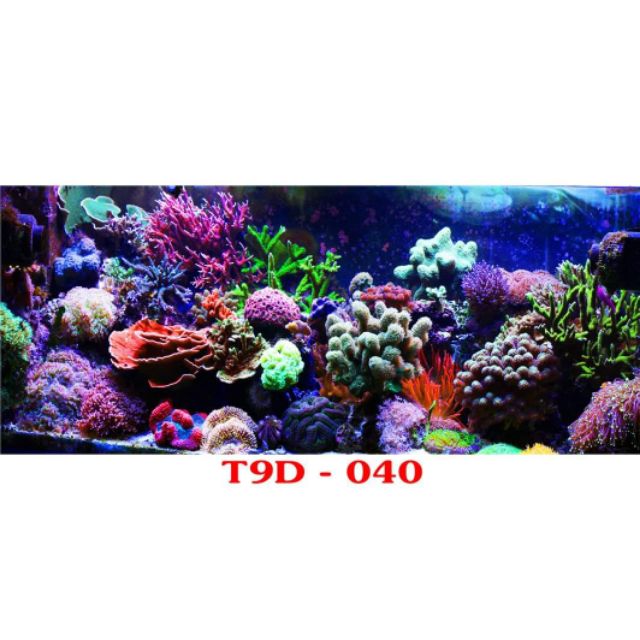 Tranh 3D dán bể cá
