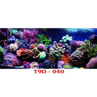 Tranh 3D dán bể cá