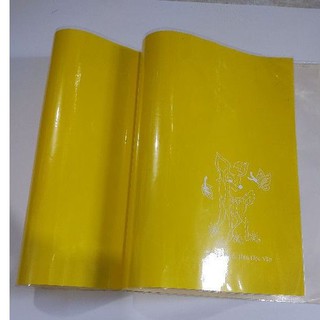 2 cái bao tập mầu vàng kèm bao kính