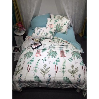 Bộ chăn ga gối cotton poly nhập mã pln146