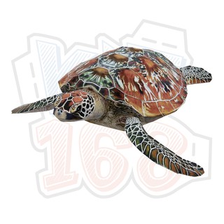 Mô hình giấy động vật rùa Đồi mồi dứa