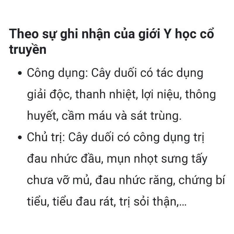 1kg Cây duối - duối nhám - hoàng anh mộc tươi