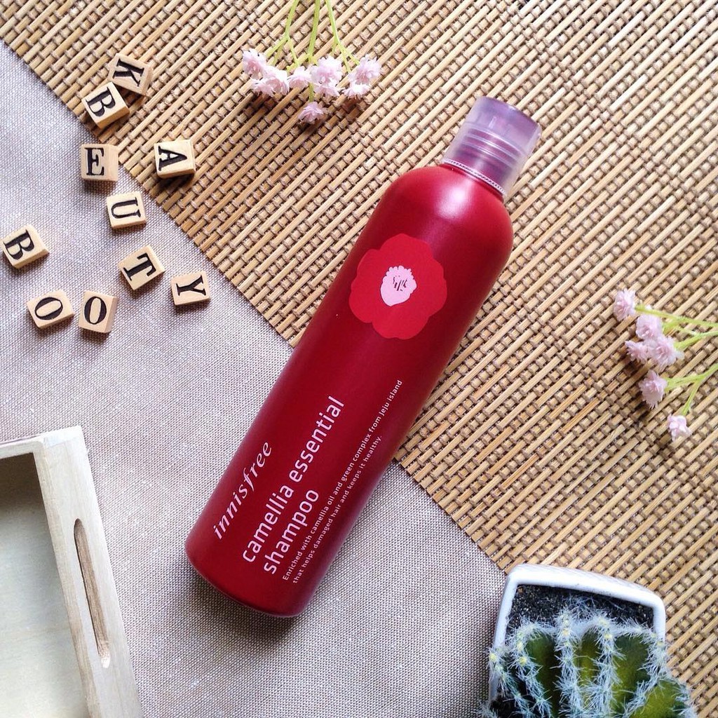 Dầu gội đầu Innisfree Camellia Essential Shampoo 300mL