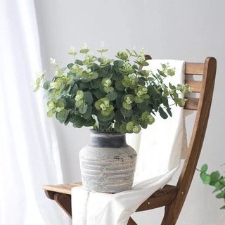 Cụm lá táo mốc