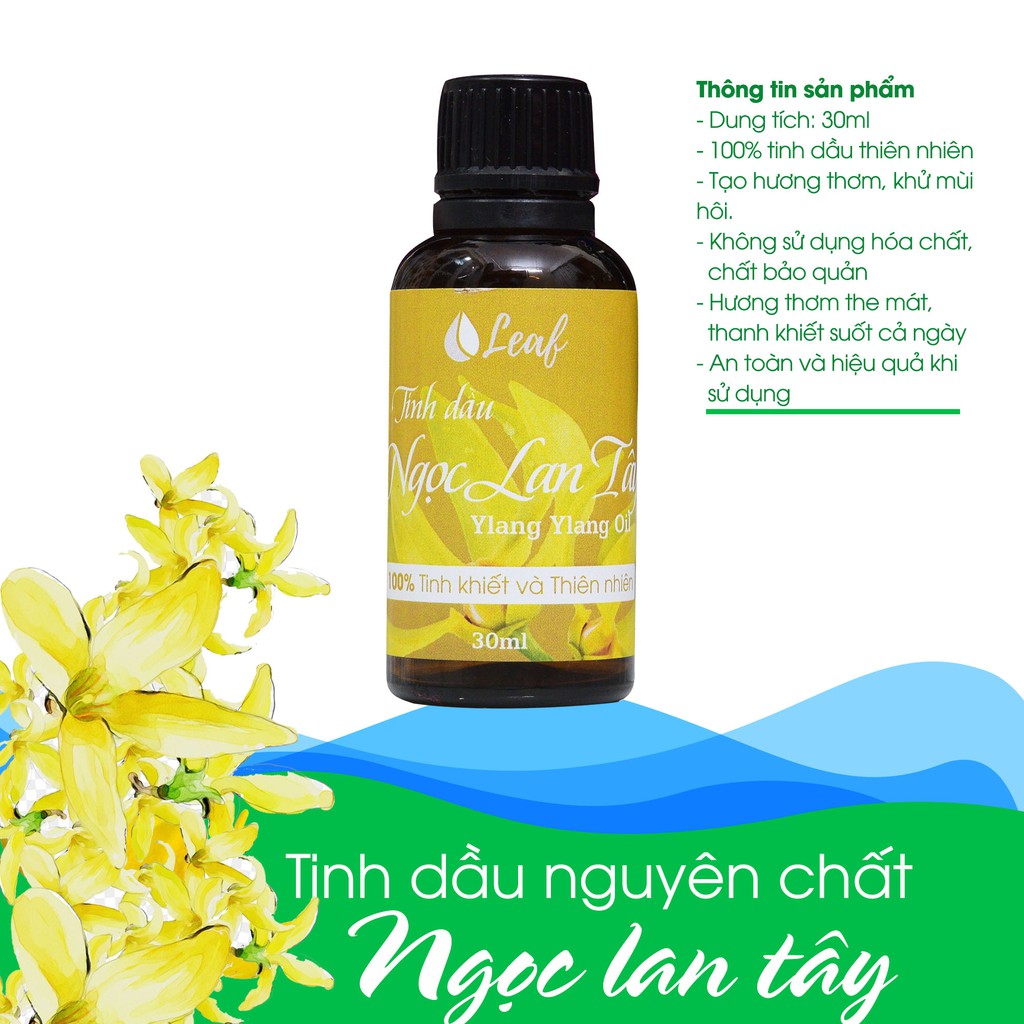 Tinh Dầu Xá xị, Sả chanh, Bạc Hà, Bưởi, Cafe, Quế LEAF Nguyên Chất, Thiên Nhiên Nguyên Chất Xông Phòng