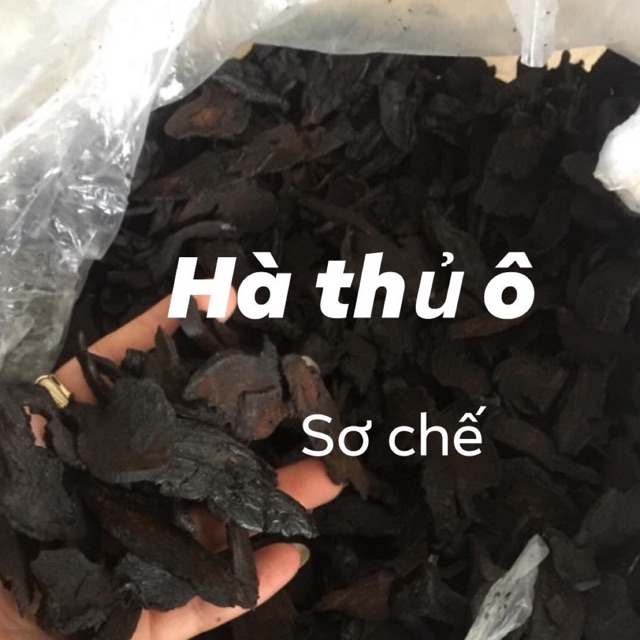Hà thủ ô đã sơ chế