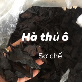 Hà thủ ô đã sơ chế