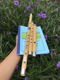 Dòng sáo SV4