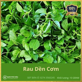 Hạt Giống Rau Dền Cơm Sen Vàng-10 gram-Tỉ Lệ Nảy Mầm Cao, Hoa Màu Đẹp, Dùng Trang Trí Nhà Cửa