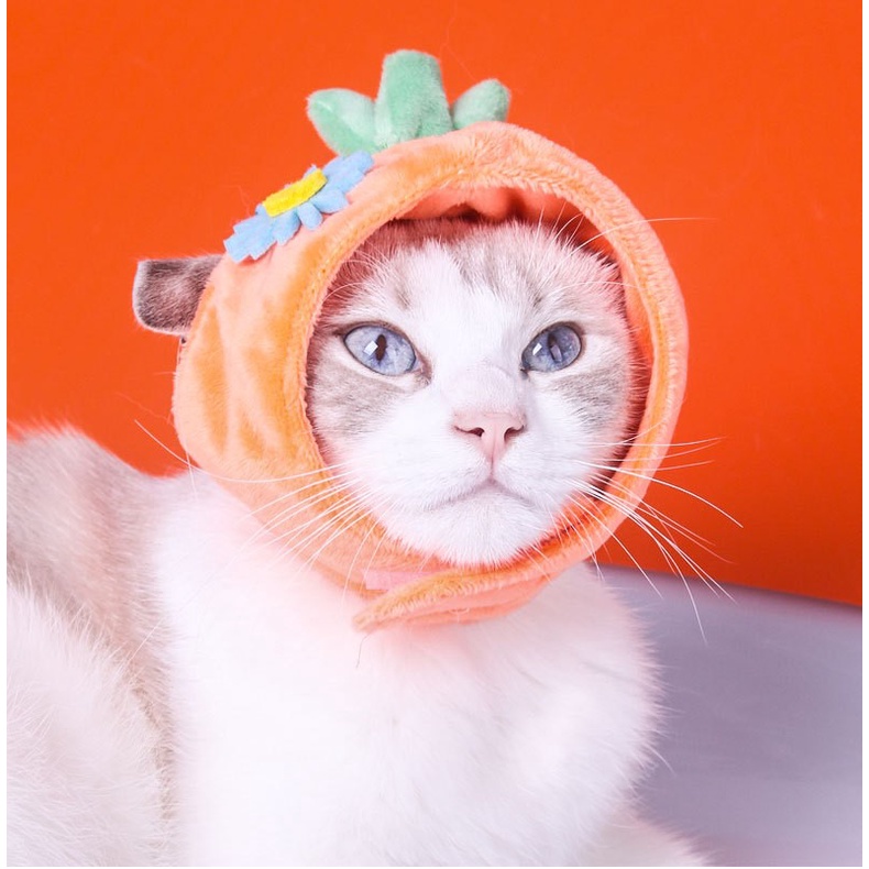 nón chó mèo nhiều mẫu - thích hợp chó con và mèo con dưới 4kg