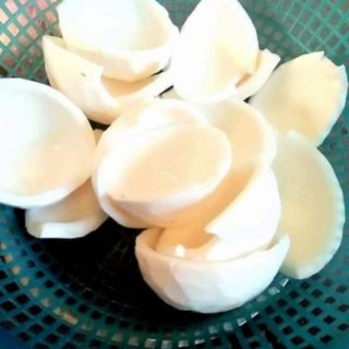 Dầu dừa handmade nguyên chất lọ 100ml