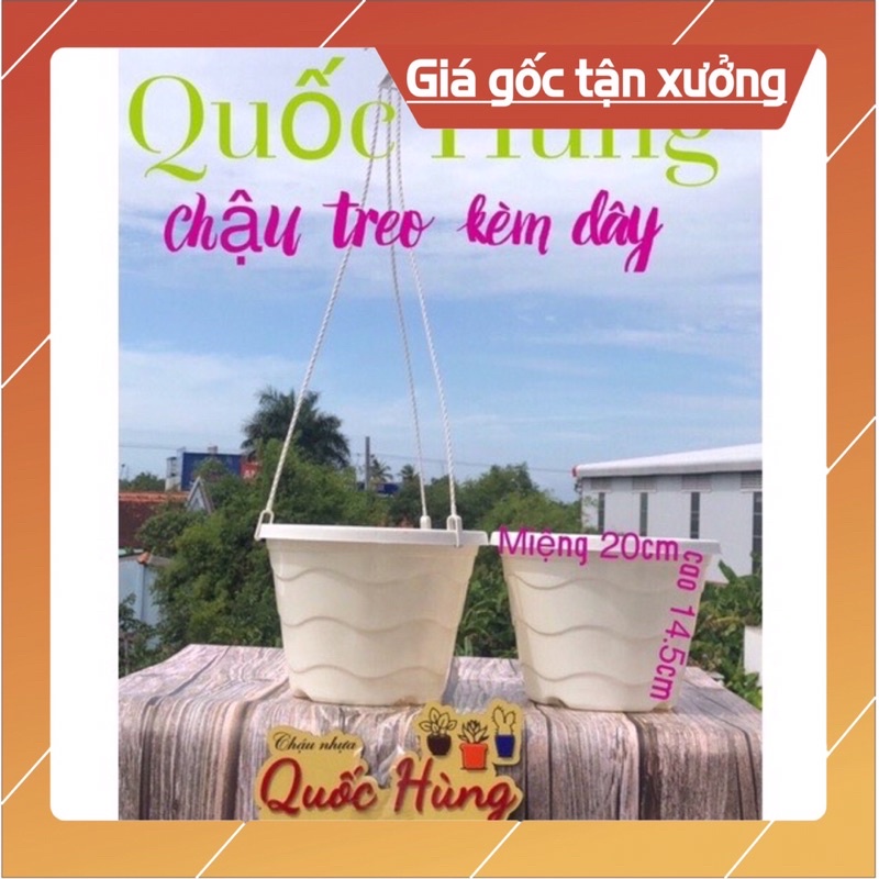 Chậu treo nhựa cứng thương hiệu Quốc Hùng