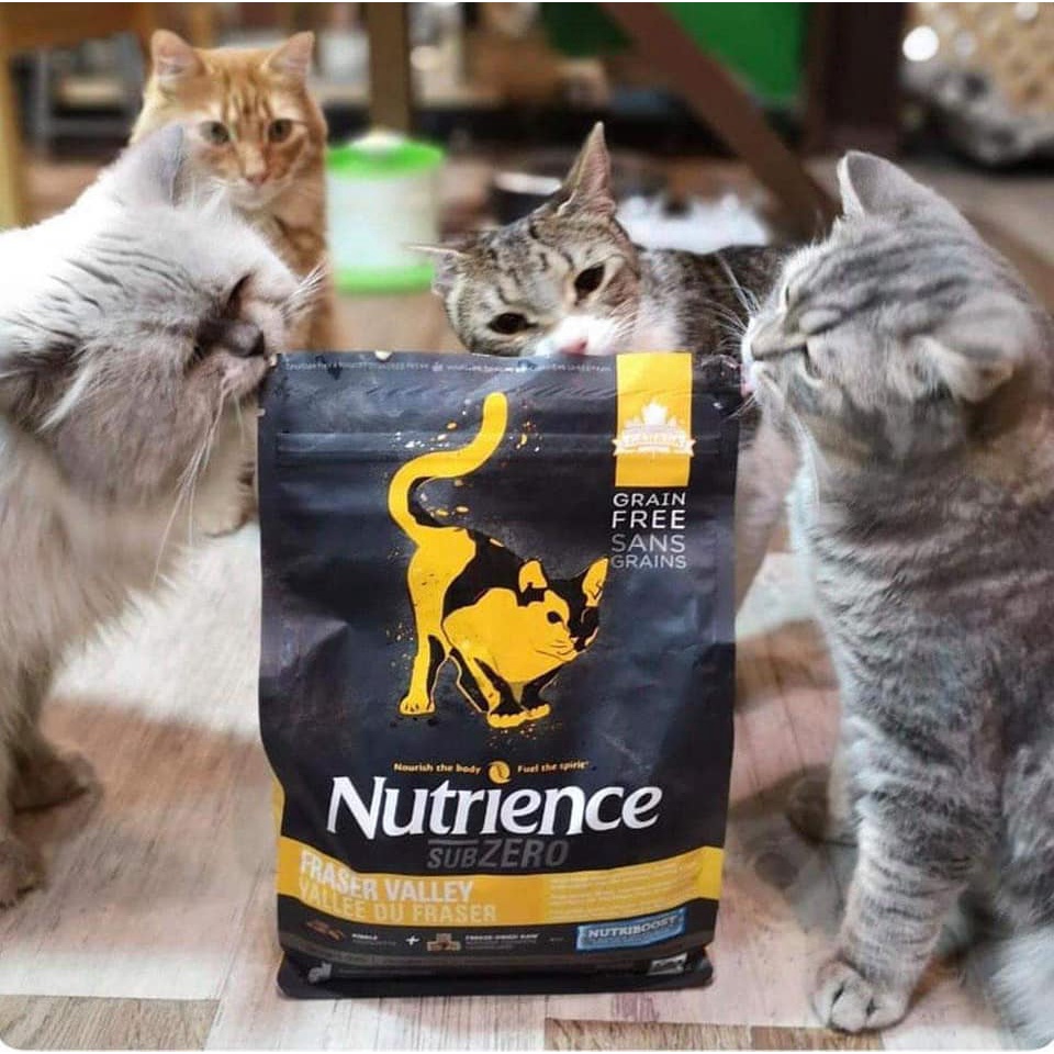 [5kg] Hạt Nutrience SubZero Cho Mèo Mọi Lứa Tuổi - Gà Tây, Cá Hồi &amp; Rau Củ Quả