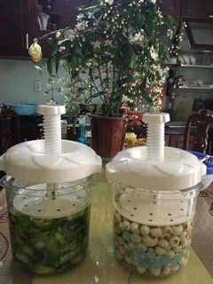Hũ muối dưa cà việt nhật