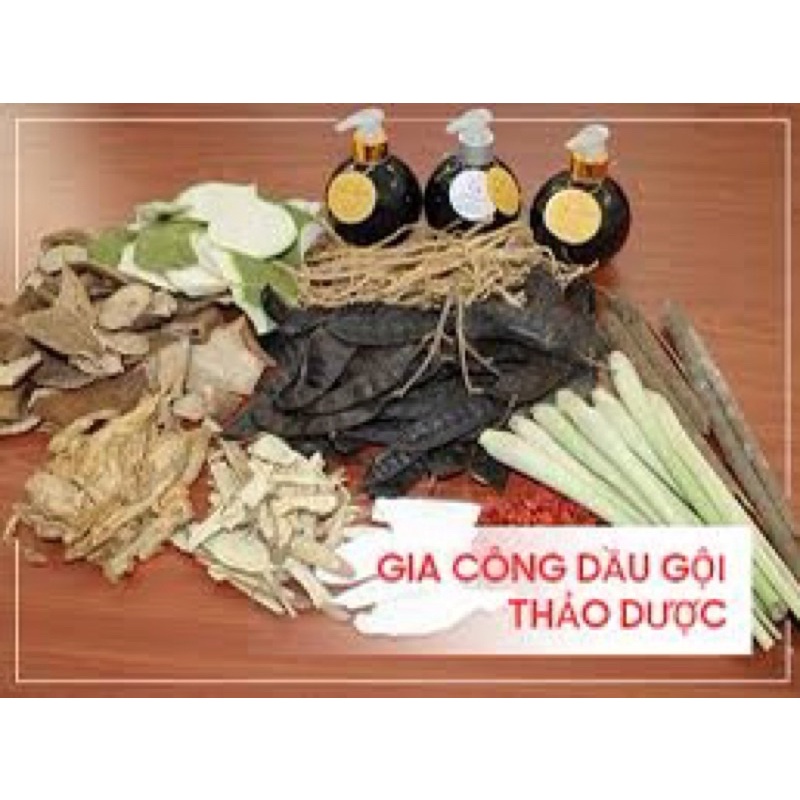 Dầu Gội Phục Hồi Tóc