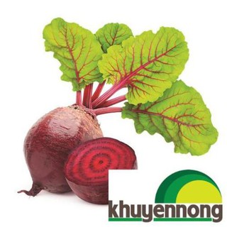 5gr Hạt giống củ dền đỏ