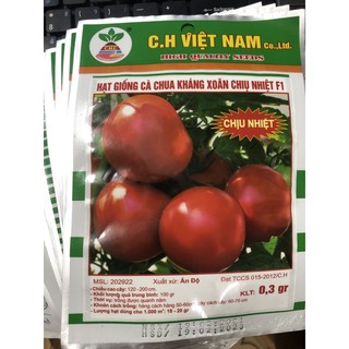 Hạt giống Cà Chua kháng xoăn chịu nhiệt F1 🌱