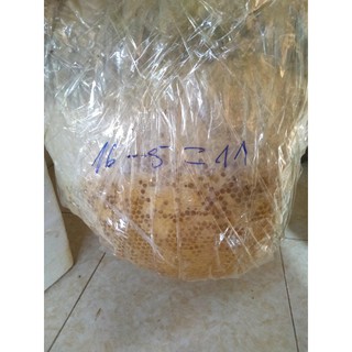 Mật tổ ong rừng tây bắc tự nhiên - taybacfood.vn shop