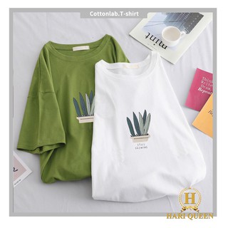 [FREESHIP ĐƠN TỪ 50K] Áo phông chậu cây lá Still HARI0420