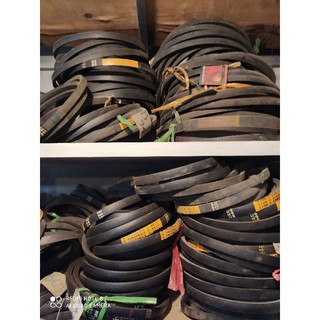 Dây cua roa (dây curoa, dây đai thang) trơn bản B đầu 3 (B31- B39)