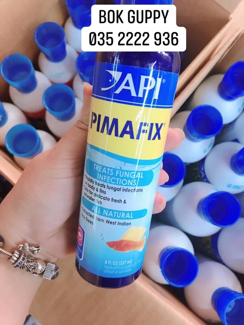 API PIMAFIX - Chế Phẩm Kháng Khuẩn - Đặc Trị Nấm | Hoàn Hảo Chăm Sóc Cá Cảnh Cá Nước Ngọt và Nước Mặn - Cá Rồng, Koi