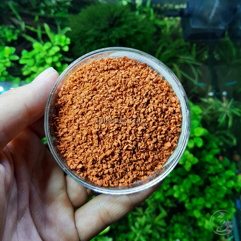 TeTra Color [Hộp 300gram] | Thức Ăn Cá Cảnh Cao Cấp - Giúp Lên Màu Đẹp Cho Cá Dĩa, Và Các Loại Cá Thuỷ Sinh