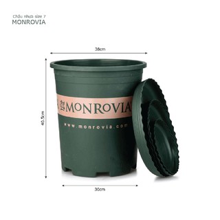 Chậu monrovia 7gl tặng kèm đĩa, loại to dung tích 26,6l cao 40,5cm, rộng 38cm