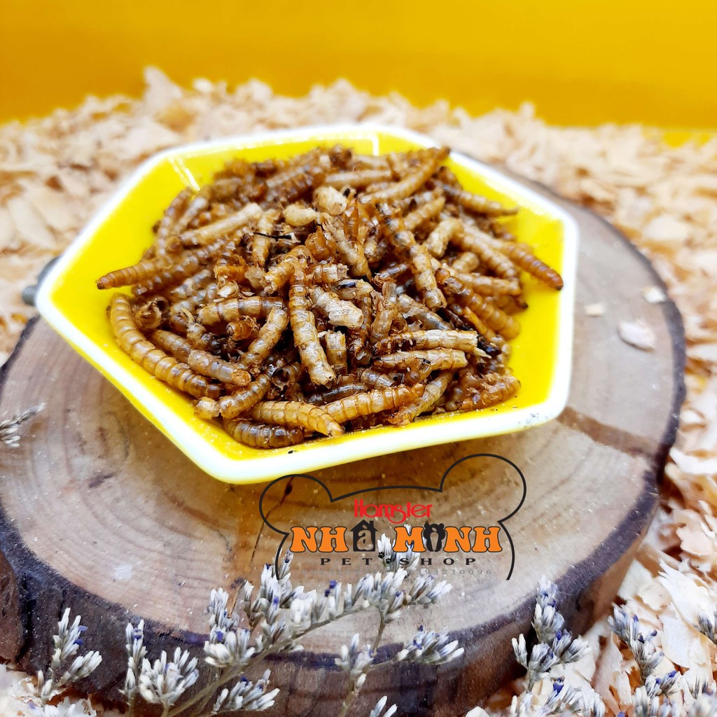 Thức ăn dặm cho hamster