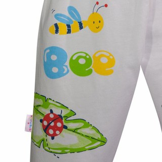 Quần Dài In Hình Ong Bọ - Hello bb