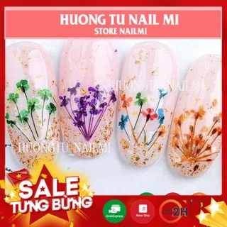 [FREE SHIP] ❤️️ PHỤ KIỆN TRANG TRÍ NAIL ❤️️ HOA KHÔ CHÙM  ẢN GEL LÀM ĐẸP NAIL CHUYÊN NGHIỆP