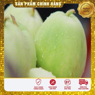 Hạt giống dưa lê tây siêu ngọt