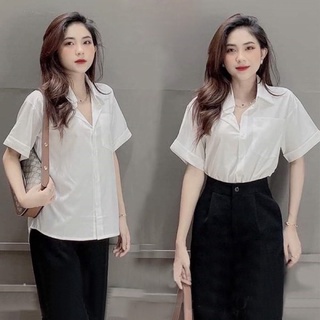 Áo Sơ Mi Cộc Tay Nữ cổ bèo