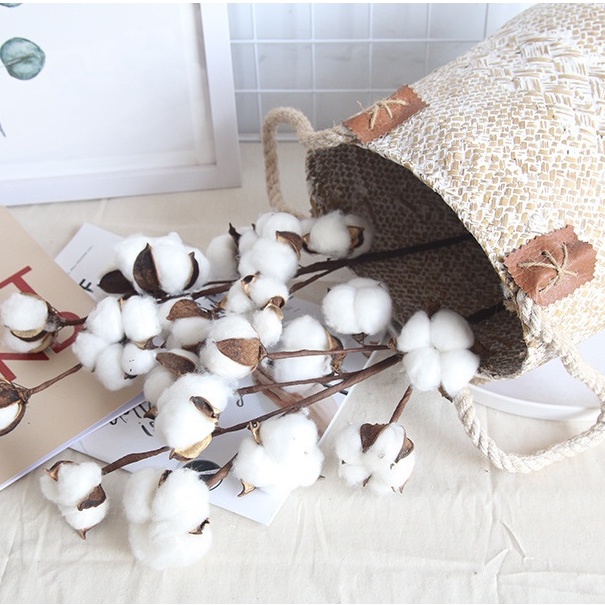 Cành lớn nhiều bông khô nở đều to siêu đẹp_HOA BÔNG GÒN decor