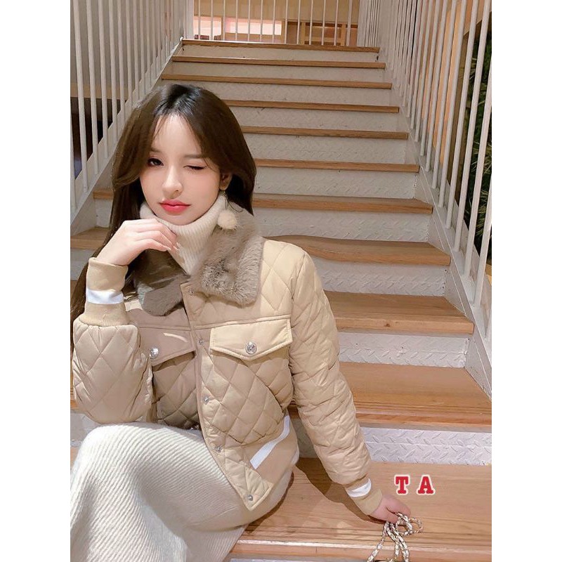 Phao trám viền gấu