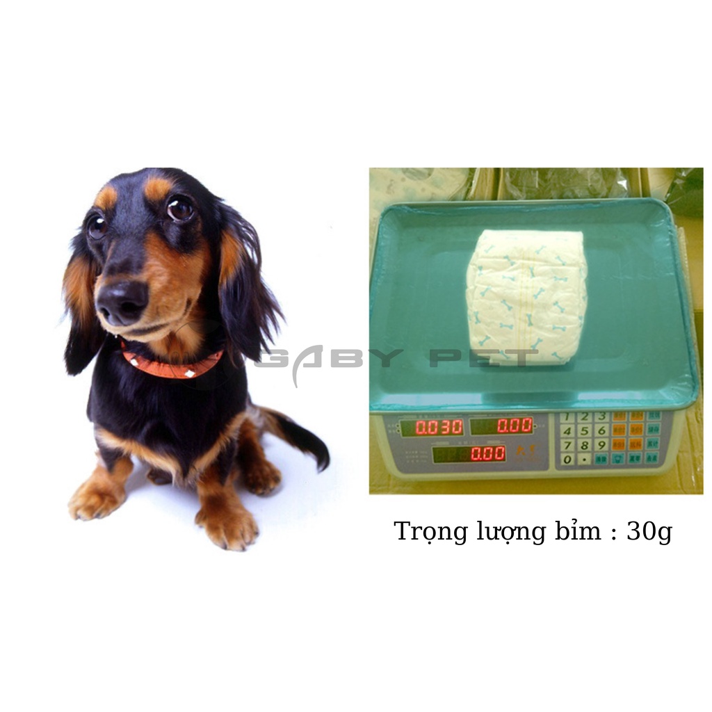 Bỉm Chó Đực GABY PET Siêu Nhẹ Thấm Hút Vượt Trội