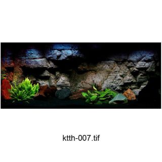 Tranh 3D - Phông nền bể cá kt 60x40; 90x50;100x50;120x60;150x60cm
