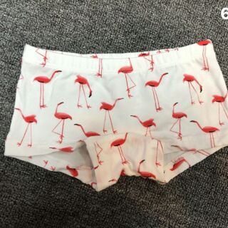 Quần chip Teengo cho bé gái