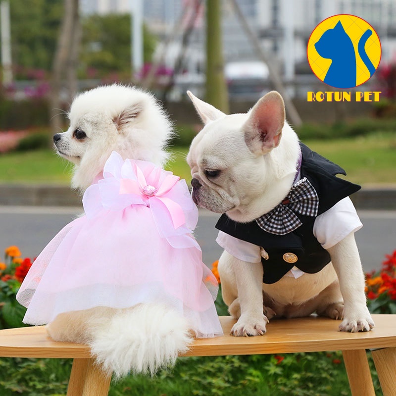 Áo vest và váy đám cưới dành cho chó mèo, Đồ cô dâu, chú rể cho thú cưng
